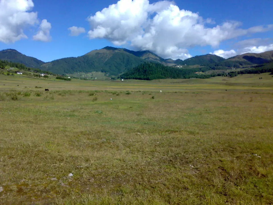 The Phobjikha valley in autumn