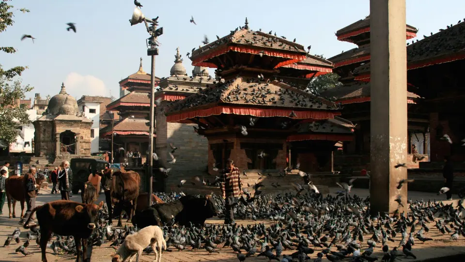 Kathmandu Durbar Square with temples and pigeons