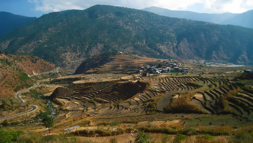 Terraced fields in a Bhutanese valley